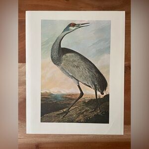 Vintage Audubon Crane Art Print